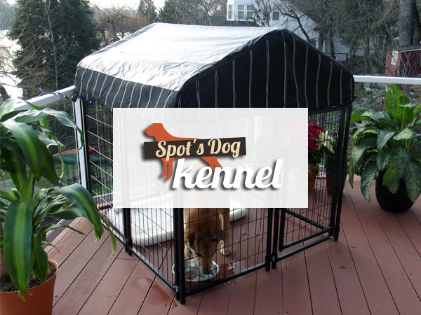 Specialty Division - Spot's Dog Kennel